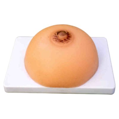 Lactation Training Breast Model