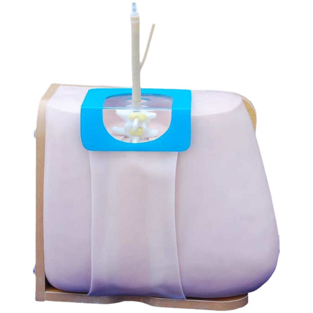 Lumbar Puncture Training Model - Image 3