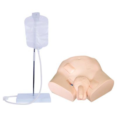 Male Urinary Catheterisation Simulator – Basic
