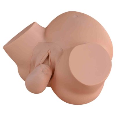 Midwifery Delivery Training Simulator