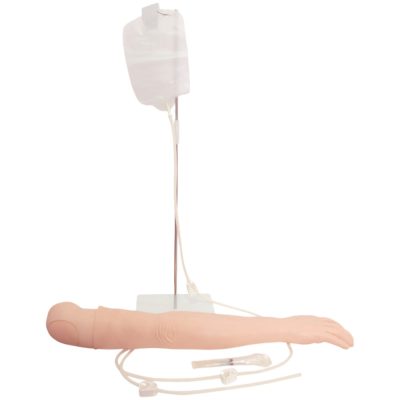Multi-Functional Adult IV Training Arm