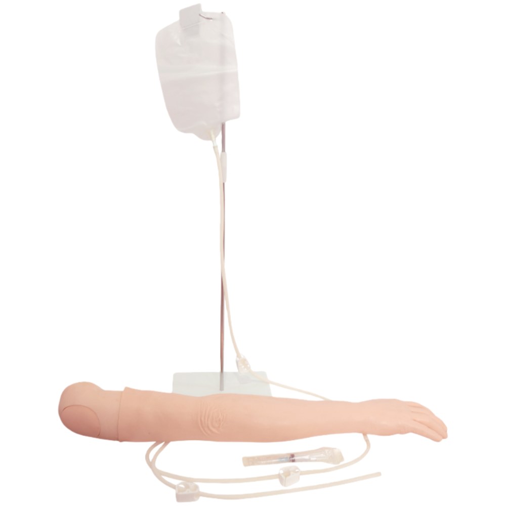 Multi-Functional Adult IV Training Arm