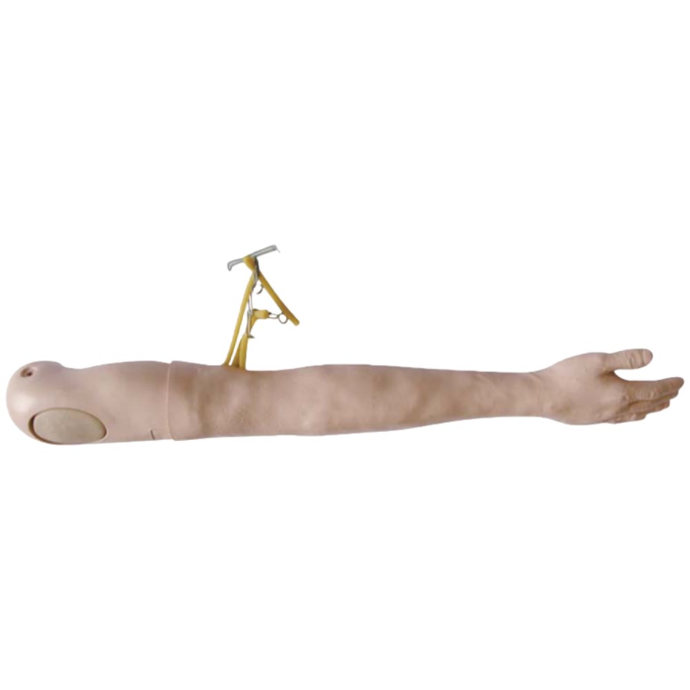 Multi-Functional Adult IV Training Arm - Image 2