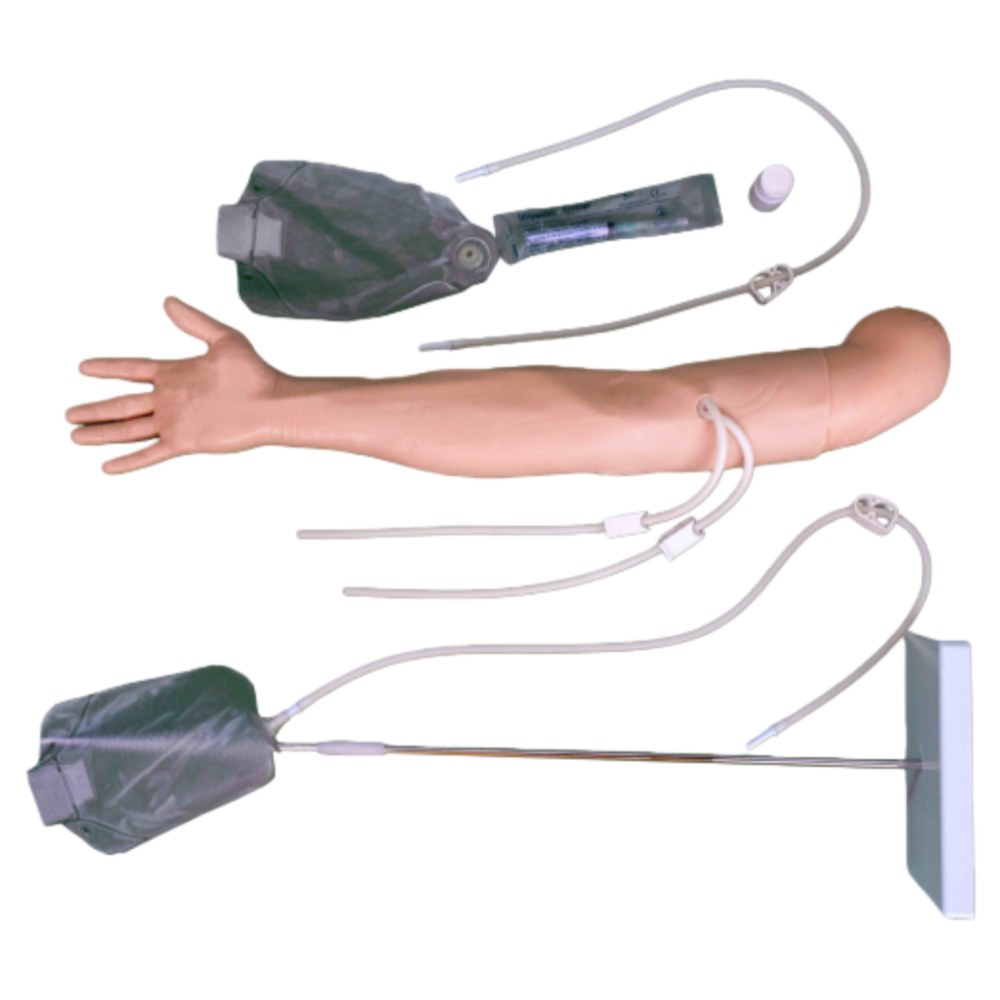 Multi-Functional Adult IV Training Arm - Image 3