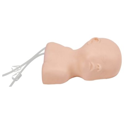 Neonatal Scalp Venipuncture Model