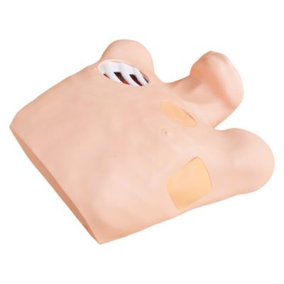 Pneumothorax & Pleural Drainage (Chest Tube) Simulator
