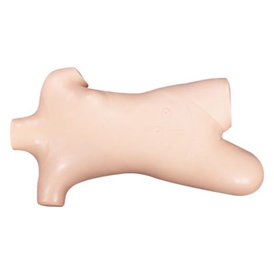 Preoperative Aseptic Technique Training Model