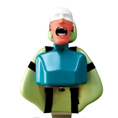 Senior Dental Simulation Manikin with Torso