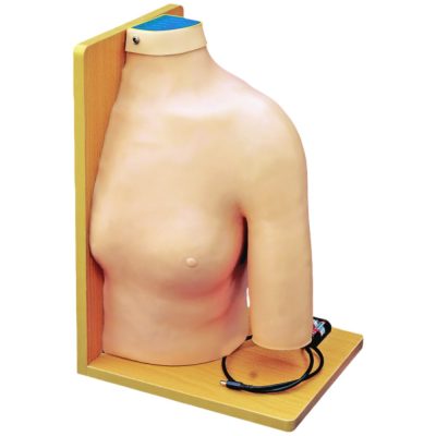 Shoulder Joint Injection Simulator with Electronic Feedback