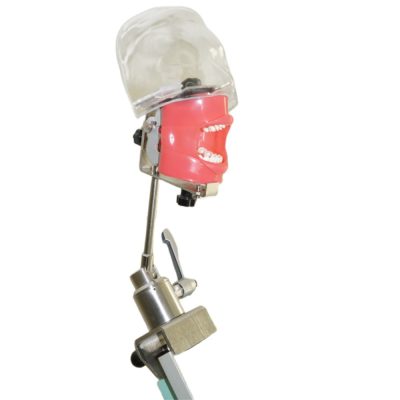 Simple Dental Simulation Head – Chair Mount (Style A)