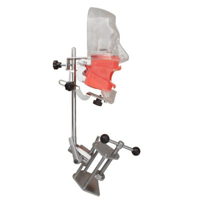 Simple Dental Simulation Head – Chair Mount (Style B)