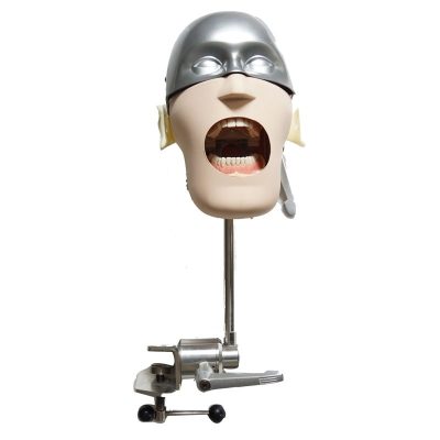 Stainless Steel Dental Simulation Head – Chair Mount