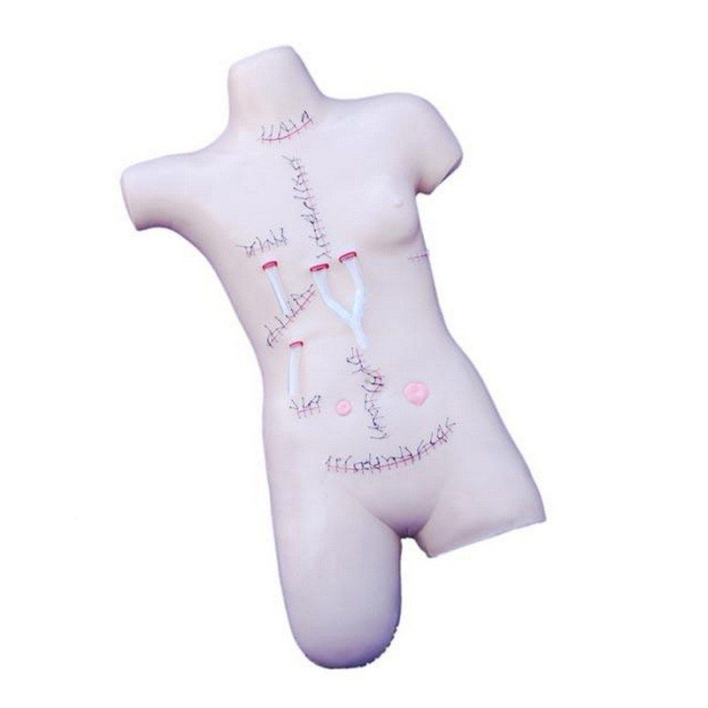 Surgical Wound Care, Suture & Bandaging Simulator – 14 Wounds - Image 2