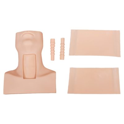 Tracheostomy & Cricothyrotomy Simulator
