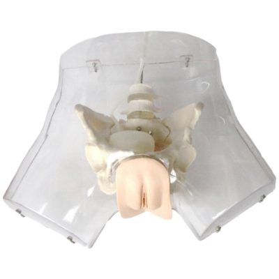 Transparent Gastric Lavage Training Model