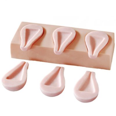 Uterine Evacuation (D&C) Training Model – 3 Uteri