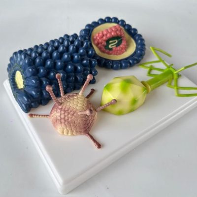 Virus Structure Model – Enlarged